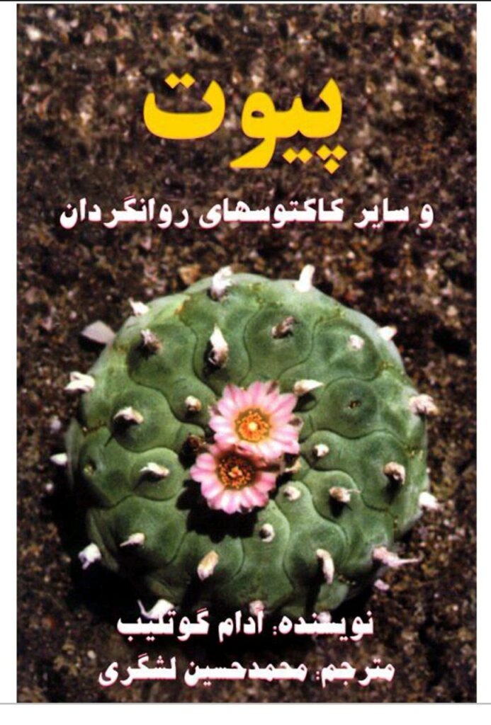 پیوت و سایر روانگردان‌ها