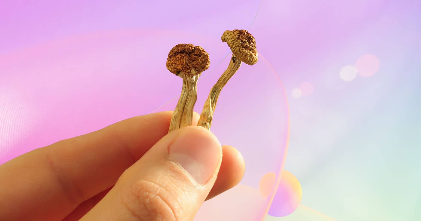 magic mushroom in hand