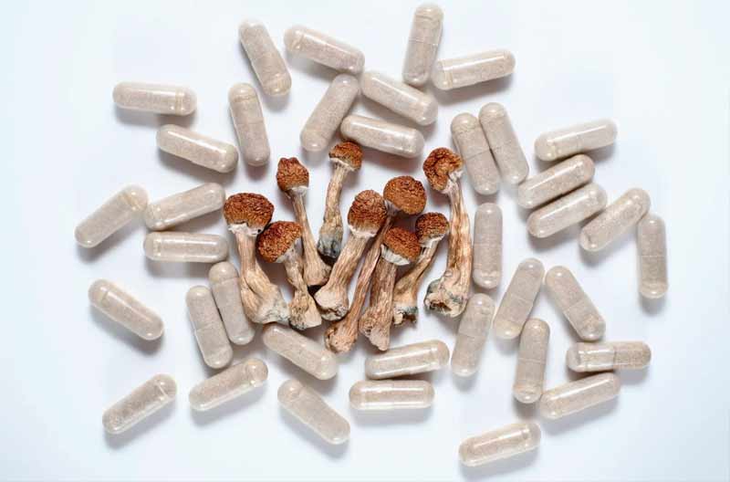  mushroom microdose capsules