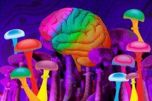 brain and magic mushroom colorful