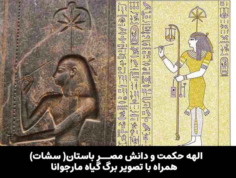 egyptian cannabis history
