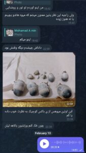 مشاوره و آموزش در زمینه پرورش مجیک ماشروم و قارچ دکمه ای