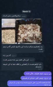 مشاوره و آموزش در زمینه پرورش مجیک ماشروم و قارچ دکمه ای