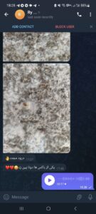 مشاوره و آموزش در زمینه پرورش مجیک ماشروم و قارچ دکمه ای