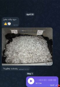 مشاوره و آموزش در زمینه پرورش مجیک ماشروم و قارچ دکمه ای