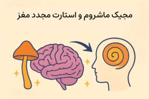 قارچ جادویی و ارتباط با مغز